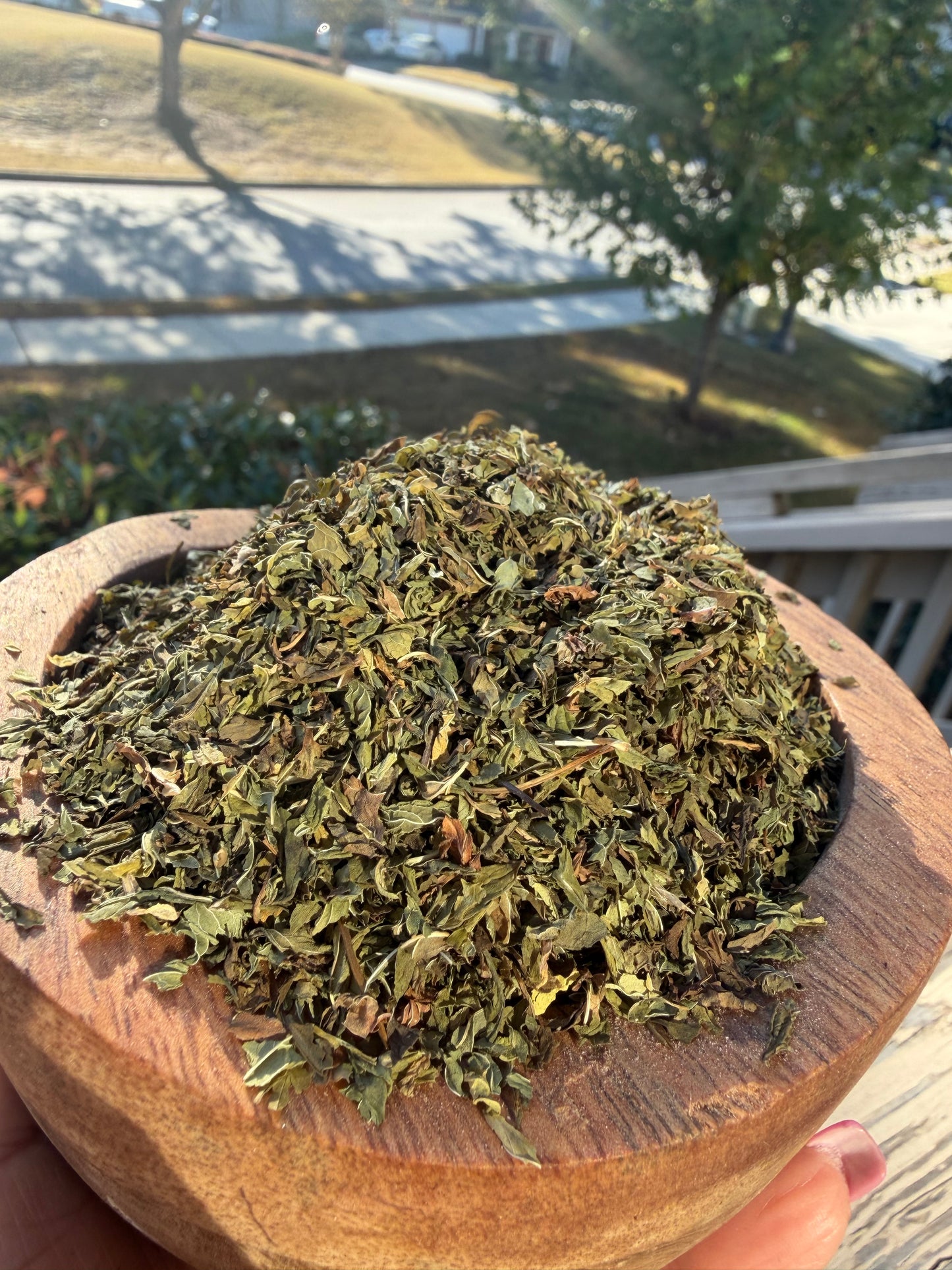 Organic Spearmint Leaf