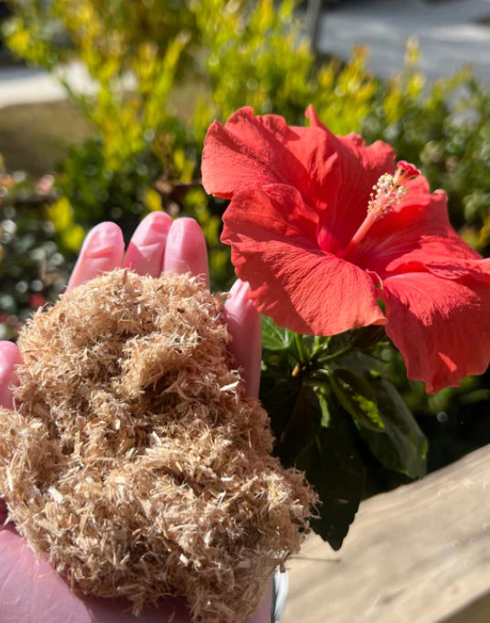 Juicy Flower Pot Drops